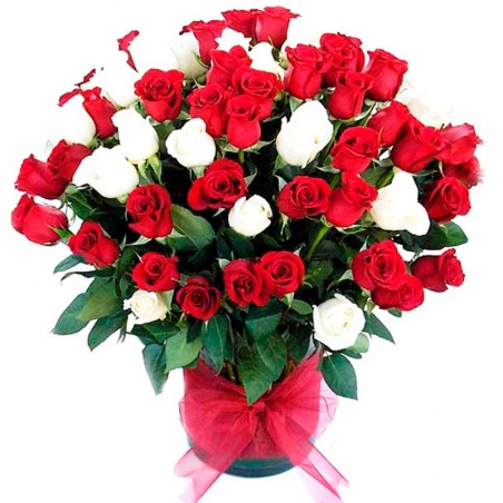 Florero de Rosas Rojas y Blancas 70 rosas