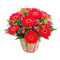 Cesta Pequeña de 10 Flores Gerberas Rojas