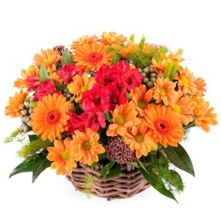 Cesta Mediana de Flores Mables y Gerberas Tonos Naranja