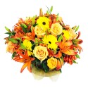 Cesta Mediana de Flores y Rosas Damasco con Liliums Naranjos