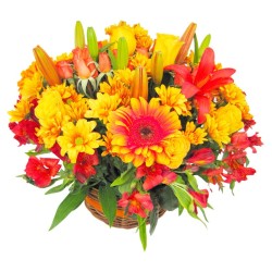 Cesta Mediana de Gerberas Liliums tonos Naranjos Mix Verano