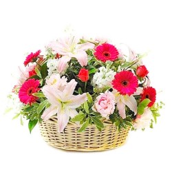 Cesta Gigante de Gerberas y Rosas Primavera