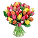 Ramos de 20 Tulipanes Mix Colores