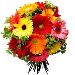 Ramo de 20 Gerberas Mix Colores más Follaje