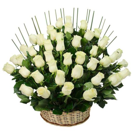 50 Rosas Para Condolencias en Base de Madera