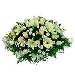 Flores para Condolencias en Ovalo