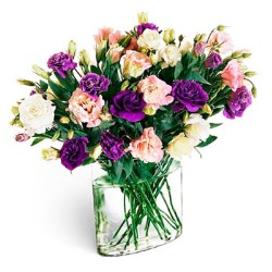 Florero con 20 Varas de Lisianthus Morados Rosados y Blancos