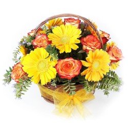 Cesta de 12 Rosas Circus más Gerberas Amarillas