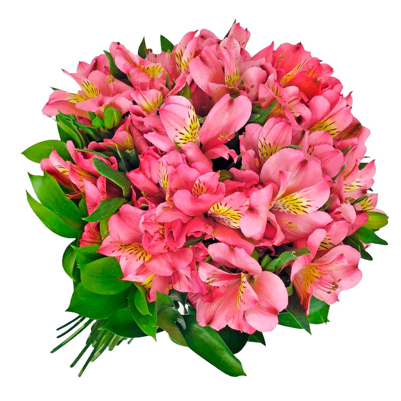 Ramo con 40 varas de Astromelias Rosadas - Envio de Flores