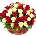 Cesta de Condolencias Grande Redondo 50 Rosas Blancas y Rojas