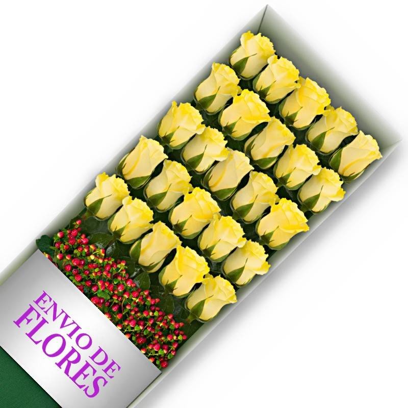 Caja de 24 Rosas Amarillas