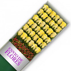 Caja de 36 Rosas Amarillas