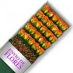 Caja de 25 Rosas Circus