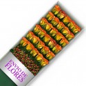 Caja de 30 Rosas Circus