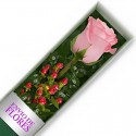 Caja de 1 Rosa Rasada