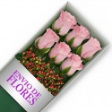 Caja de 6 Rosas Rosadas