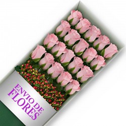 Caja de 18 Rosas Rosadas