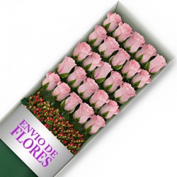 Caja de 24 Rosas Rosadas
