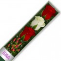 Caja de 3 Rosas Mix Rojas y Blancas