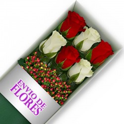 Caja de 6 Rosas Mix Rojas y Blancas