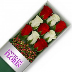 Caja de 9 Rosas Mix Rojas y Blancas