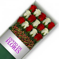 Caja de 15 Rosas Mix Rojas y Blancas
