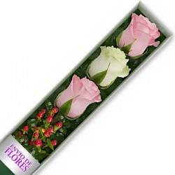 Caja de 3 Rosas Mix Rosadas y Blancas