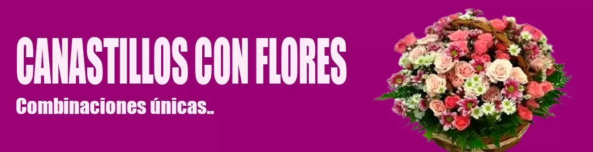 Cestas de flores, Canastas de flores envió a domicilio Santiago Chile
