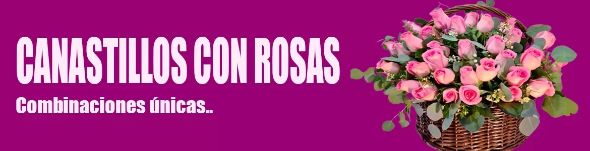 Cestas de rosas, Canastas con rosas envió a domicilio Santiago Chile