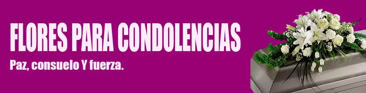 Flores Condolencias, Flores de Condolencias Envió a Domicilio Santiago Chile