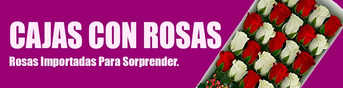 Rosas en Caja, Cajas de rosas, Envío a domicilio Santiago Chile