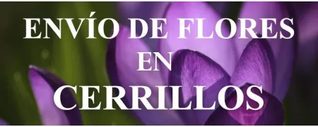 Envío de Flores a domicilio en Cerrillos, Envío de Flores en Cerrillos, Enviar Flores a Cerrillos