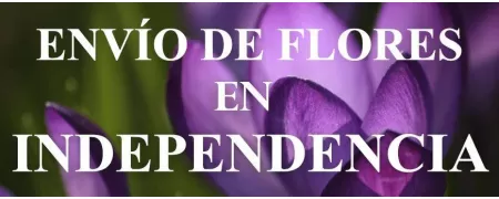 Envío de Flores a domicilio en Independencia, Envío de Flores en Independencia, Enviar Flores a Independencia
