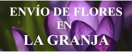 Envío de Flores a domicilio en La Granja, Envío de Flores en La Granja, Enviar Flores a La Granja