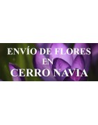 Envío de Flores en Cerro Navia