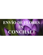 Envío de Flores en Conchalí