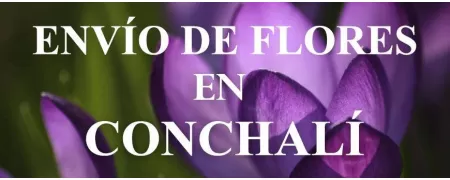 Envío de Flores a domicilio en Conchalí, Envío de Flores en Conchalí, Enviar Flores a Conchalí