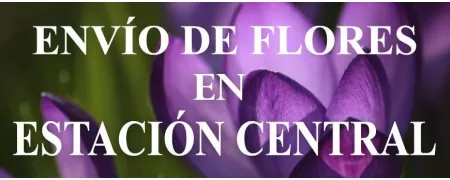 Envío de Flores a domicilio en Estación Central, Envío de Flores en Estación Central, Enviar Flores a Estación Central