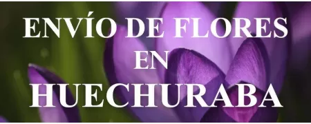 Envío de Flores a domicilio en Huechuraba, Envío de Flores en Huechuraba, Enviar Flores a Huechuraba