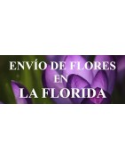Envío de Flores a domicilio en La Florida, Envío de Flores en La Florida, Enviar Flores a La Florida