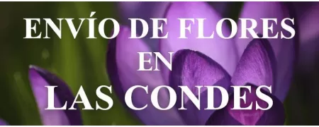 Envío de Flores a domicilio en Las Condes, Envío de Flores en Las Condes, Enviar Flores a Las Condes