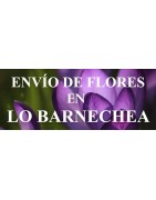 Envío de Flores en Lo Barnechea