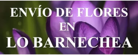 Envío de Flores a domicilio en Lo Barnechea, Envío de Flores en Lo Barnechea, Enviar Flores a Lo Barnechea