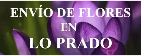 Envío de Flores a domicilio en Lo Prado, Envío de Flores en Lo Prado, Enviar Flores a Lo Prado