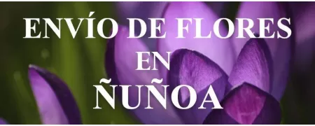 Envío de Flores a domicilio en Ñuñoa, Envío de Flores en Ñuñoa, Enviar Flores a Ñuñoa