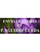 Envío de Flores en Pedro Aguirre Cerda