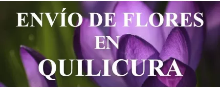Envío de Flores a domicilio en Quilicura, Envío de Flores en Quilicura, Enviar Flores a Quilicura