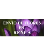 Envío de Flores a domicilio en Renca, Envío de Flores en Renca, Enviar Flores a Renca
