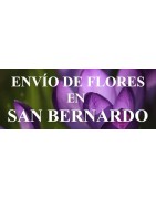 Envío de Flores en San Bernardo