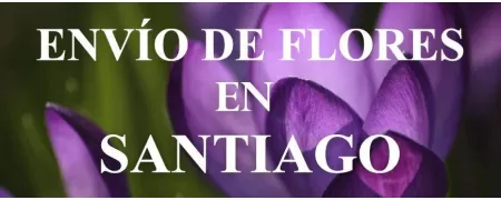 Envío de Flores a domicilio en Santiago, Envío de Flores en Santiago, Enviar Flores a Santiago